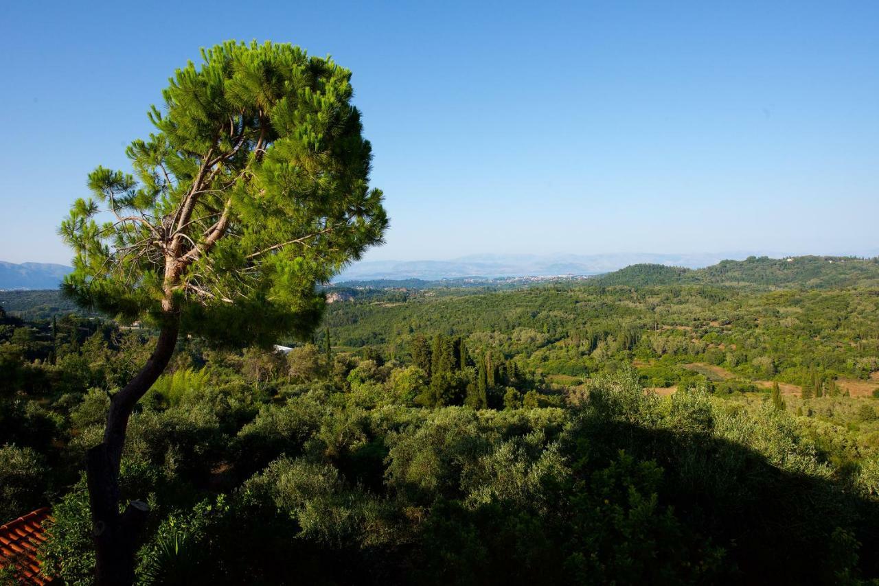 Aurora Apartment Corfu بيليكاس المظهر الخارجي الصورة